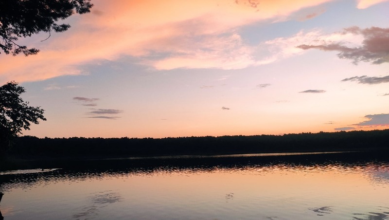 Проект международного транзитного маршрута протяженностью 2 тыс. км представили в Омске