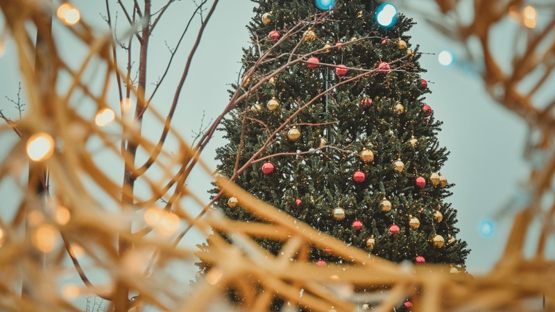 В Казани за 10,5 млн рублей заменят каркас главной новогодней елки