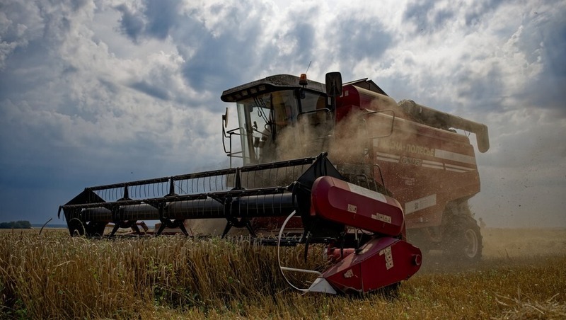 367 тыс. тонн зерна собрали пермские аграрии в 2025 году