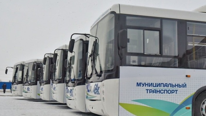 Мэр Шелест: 178 экологичных автобусов запустили в Омске за 5 лет