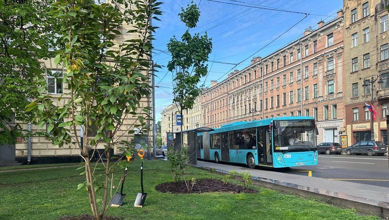 В честь Дня города в Сквере финансистов высадили сакуру