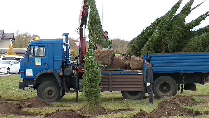 Более 500 деревьев на пересечении пр. Яшьлек и Чулман высадят в Челнах