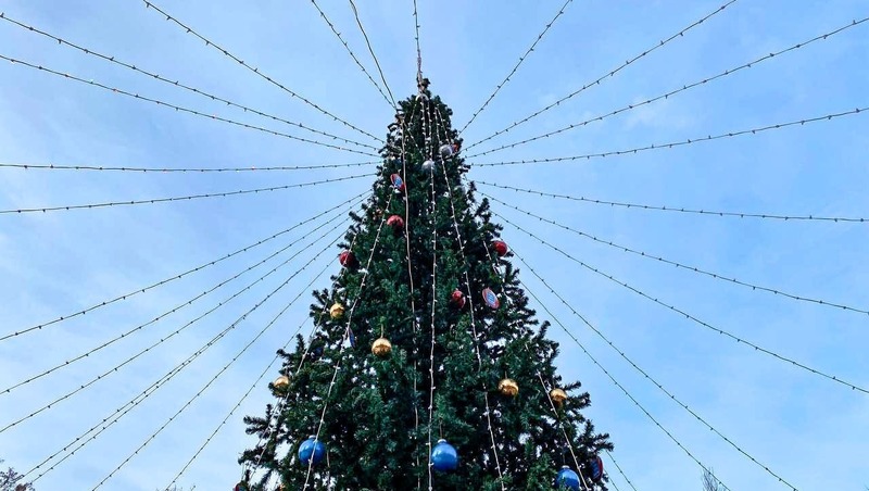 7-метровые новогодние ёлки установят в Струковском саду и парке Гагарина в Самаре