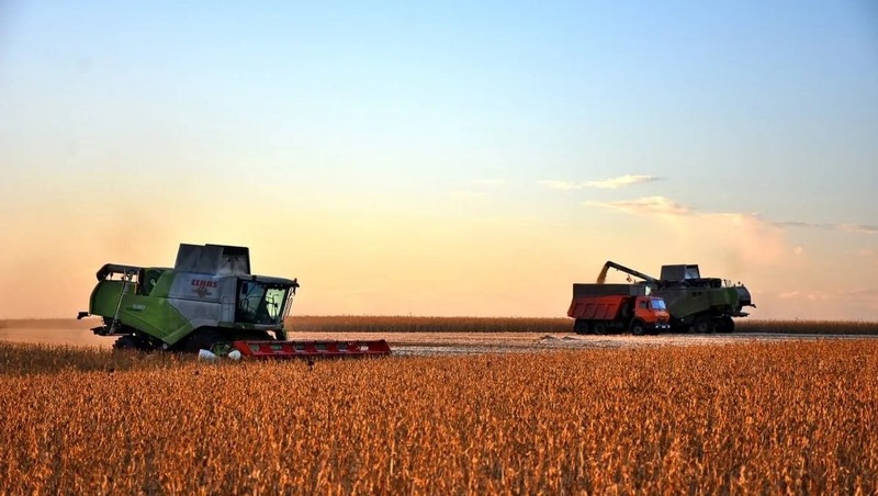 Рязанская область заняла 4-е место в России по росту посевной площади