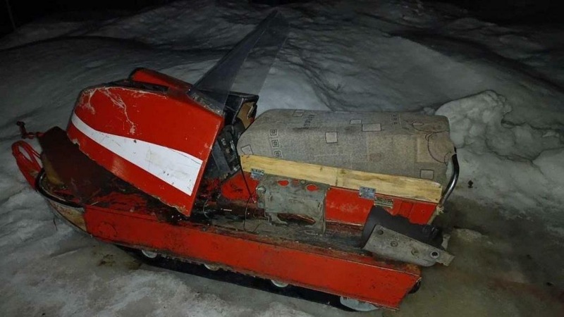 В Омской области мужчина убил двух лосей без лицензии