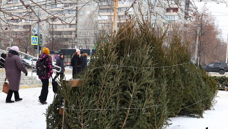 Первые елочные базары откроются в Челябинске 13 декабря
