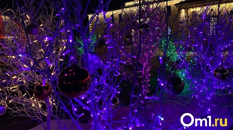 Более 160 тыс. человек посетили новогодние мероприятия в Омске 