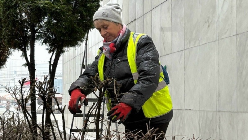 «Творческие субботники» проведут в Рязани в рамках месячника благоустройства