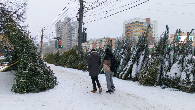 105 ёлочных базаров начали работу во всех районах Челябинска