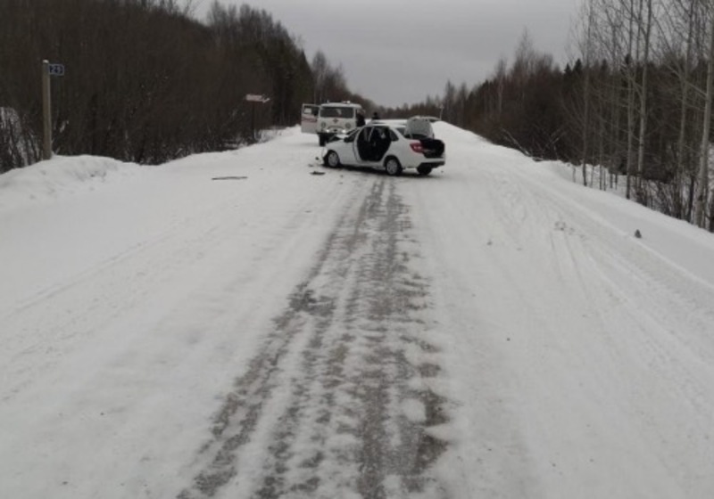 Под Омском женщина погибла под колесами «Ларгуса»