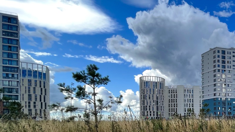 Новые зелёные зоны появятся на Васильевском острове