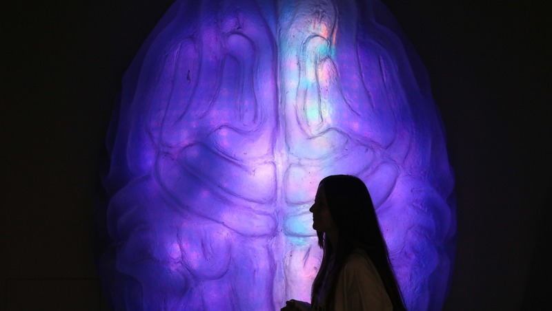 Протокол применения ИИ в образовании создали в Петербурге