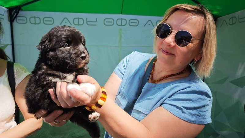 Благотворительная акция «Ищу человека» пройдет 16 августа в Уфе