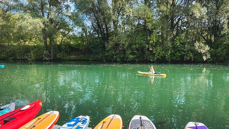 В Минэкологии РТ сообщили подробности о проверке озера Большое Лебяжье