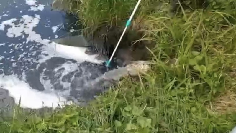 26,5 млн руб. ущерба реке Селезнёвке компенсирует «Леноблводоканал»