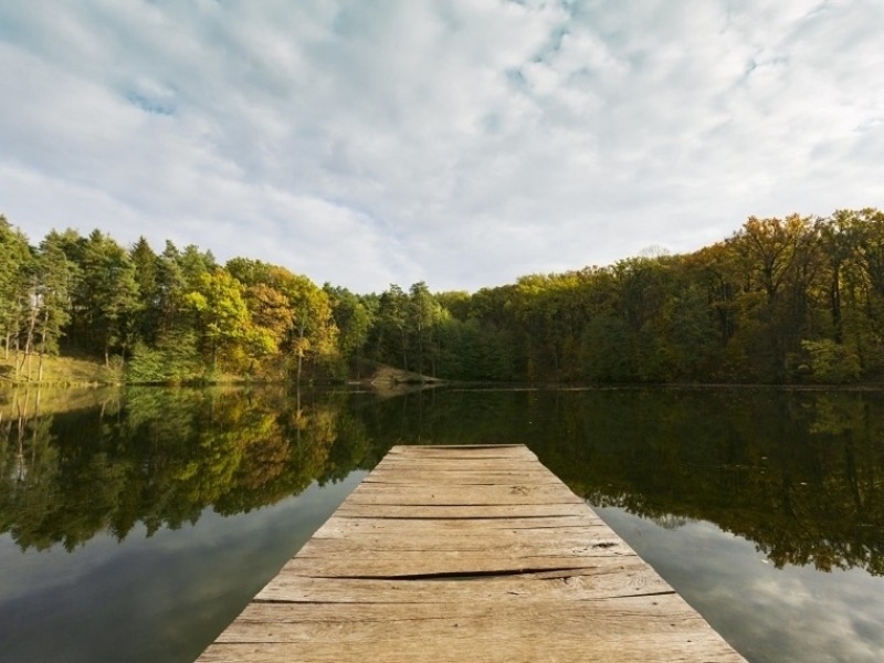 Озеро «Большое» в Омской области получило статус туристического объекта