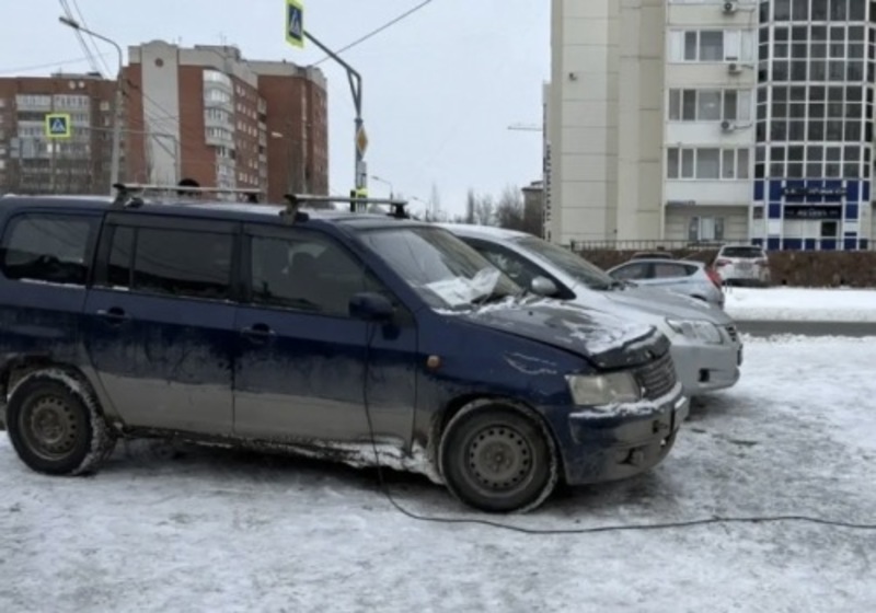 В Омске у продавца новогодних елей угнали иномарку