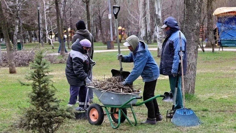90 деревьев высадят в парке Победы в рамках общегородского субботника в Самаре