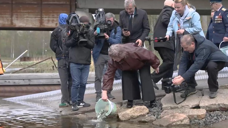 Около 50 тыс. экземпляров рыб выпустили в водоёмы Петербурга