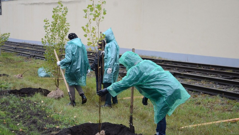 Около 10 тыс. деревьев и кустарников высадят осенью в Челнах