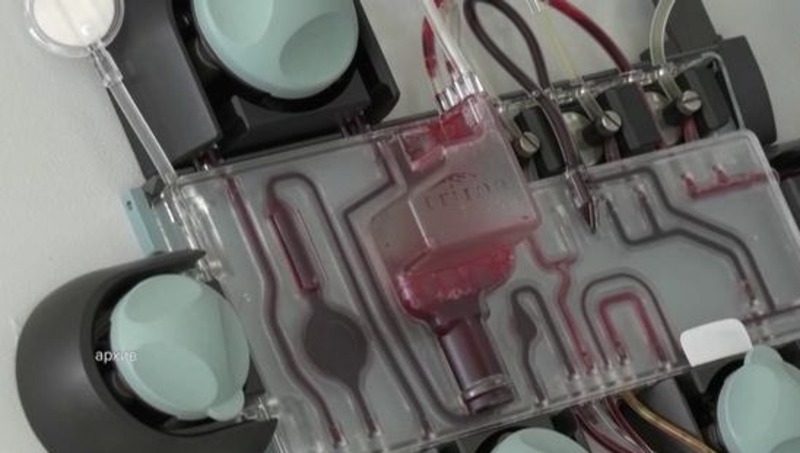 740 жителей Башкирии получили звание «Почетный донор» в 2025 году