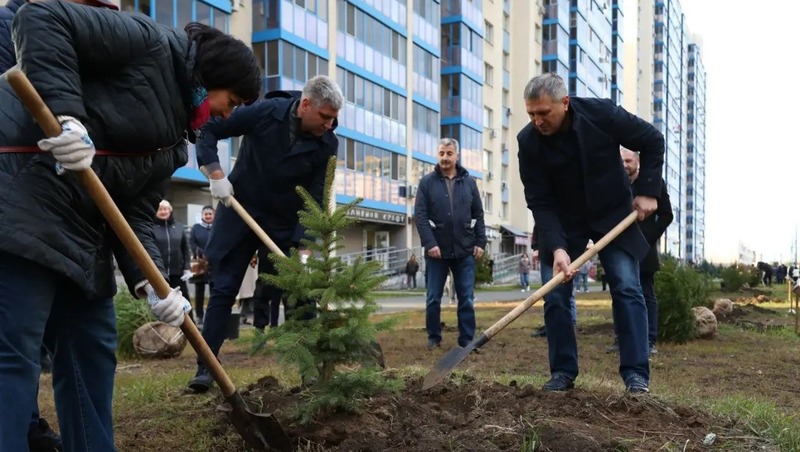 20 тыс. деревьев планируют высадить в 2026 году в Самаре
