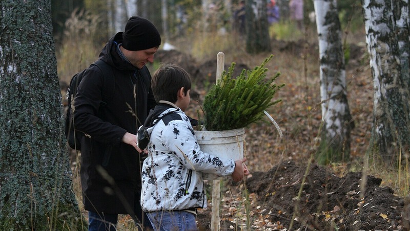 Новое школьное лесничество открылось в январе в Челнах