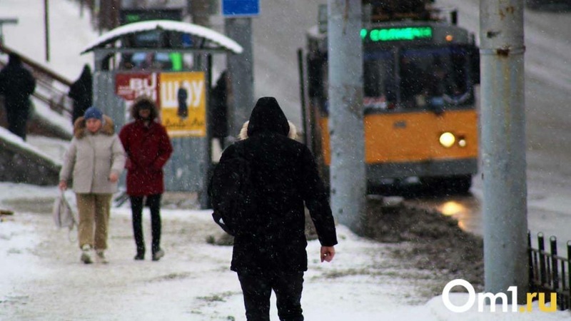 В Омске около месяца не могут найти 56-летнюю женщину