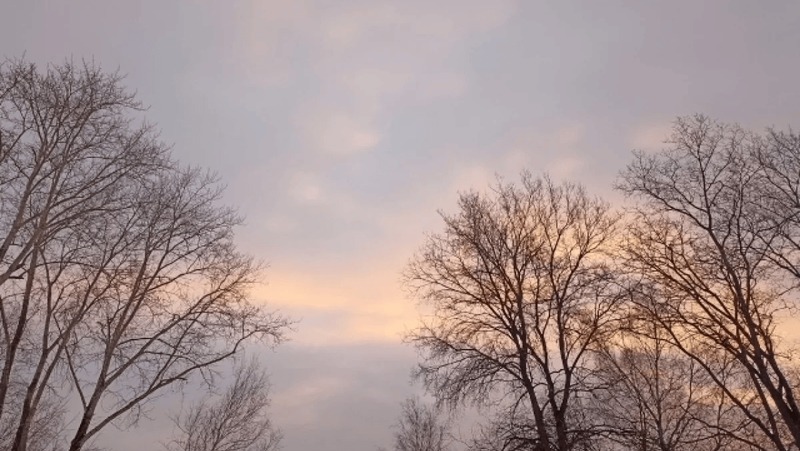 Атака БПЛА произошла в Пермском крае