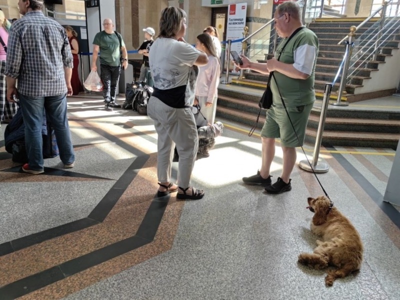 Более 7,5 тысячи животных из Омска перевезли поезда дальнего следования в 2025 году