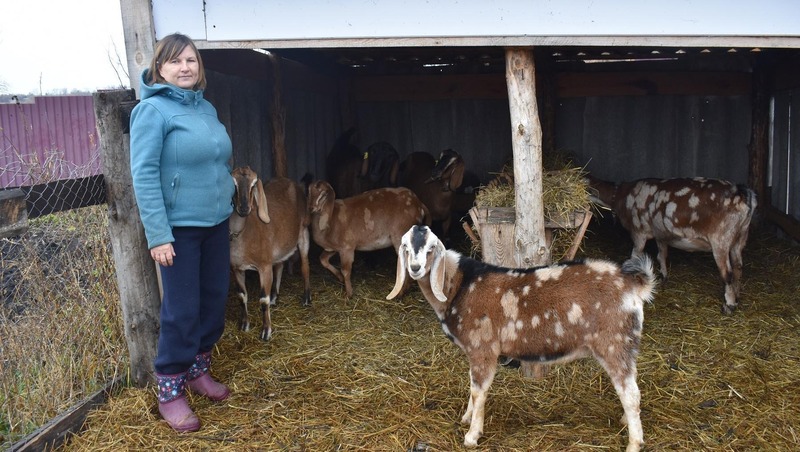 Более 3,8 тыс. южноуральцев заключили соцконтракты в 2025 году