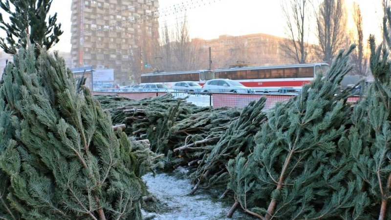 140 ёлочных базаров откроют в Самаре