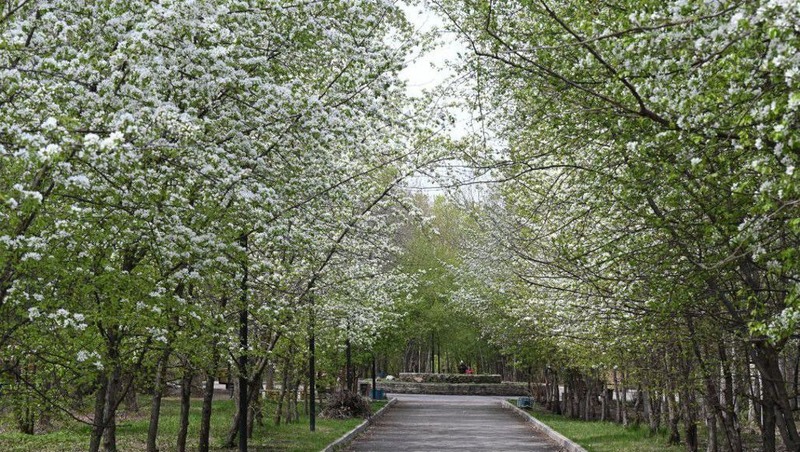 3 зелёные территории Екатеринбурга могут получить статус особо охраняемых территорий