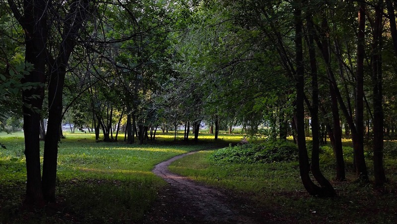Носков: 20 дворовых территорий благоустроят в Самаре