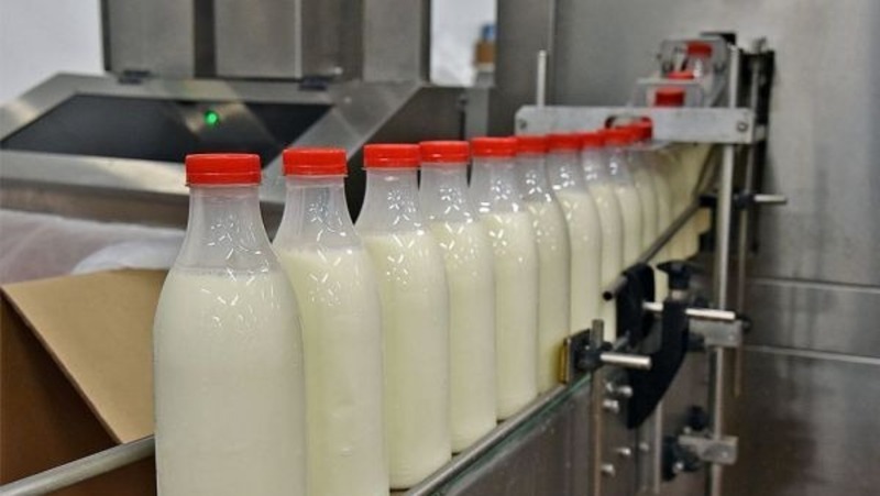 Более 1 тыс. специалистов соберёт Всероссийский агропромышленный форум в Екатеринбурге