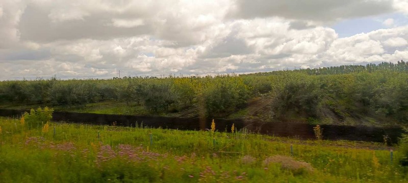 Воронежская область на 2 месте в РФ по инновационным решениям в агропромышленном комплексе