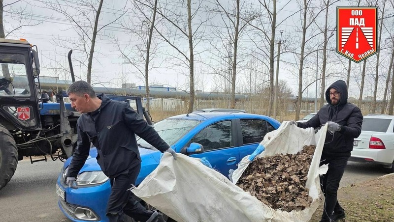 Около 3 тыс. человек приняли участие в общегородском субботнике в Челнах