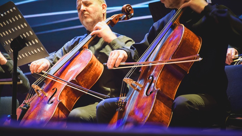 Музыкант из Челнов исполнил китайскую пьесу перед гостями саммита БРИКС в Казани