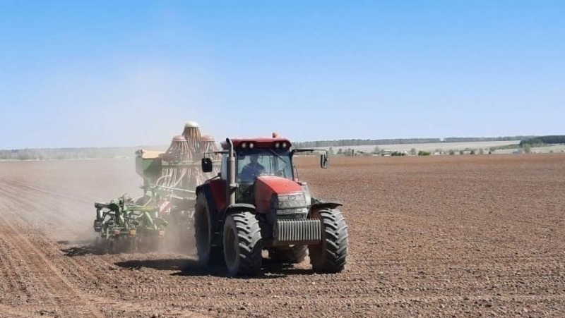 22,5 тыс. га засеют яровыми культурами в Елабуге в 2026 году