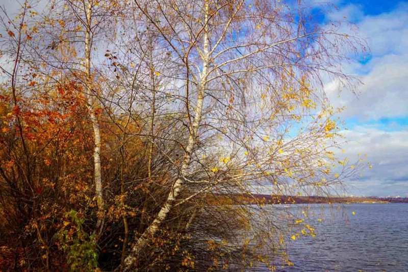 В Воронежской области появятся новые особо охраняемые природные территории