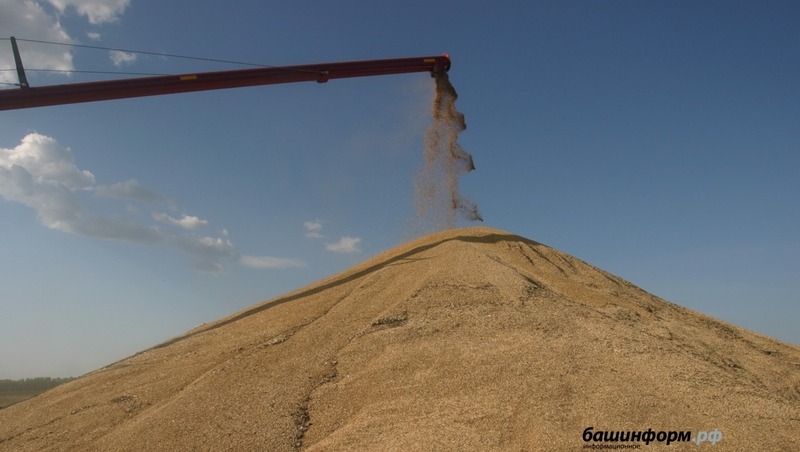 Более 4,7 тонн зерна экспортировали из Башкирии в Казахстан