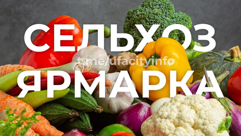 Ярмарки сельхозпродукции состоятся в Уфе 8–9 ноября
