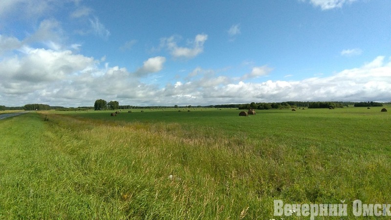Первую в Сибири ветроэлектростанцию запустят в Омске к 2029 году