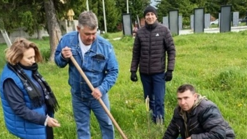 В мае и апреле в Омской области посадили 37 новых Садов памяти