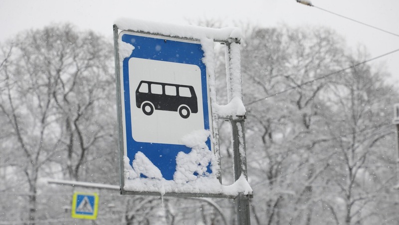 Частота движения увеличится на автобусных маршрутах №72, 197, 231 и 155 в Петербурге