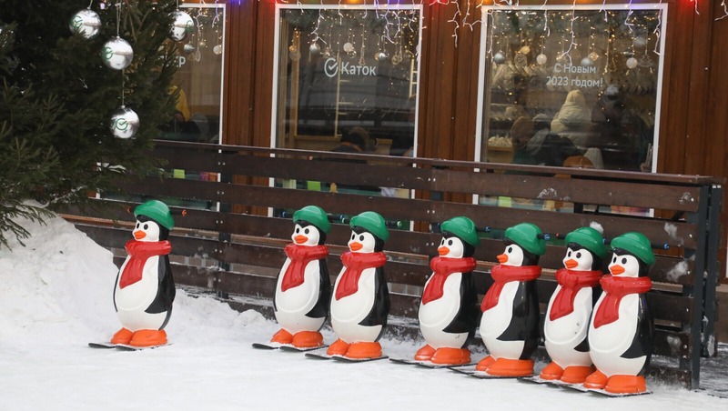 Более 16,2 тыс. человек посетили открытый каток на Манежной площади в Петербурге