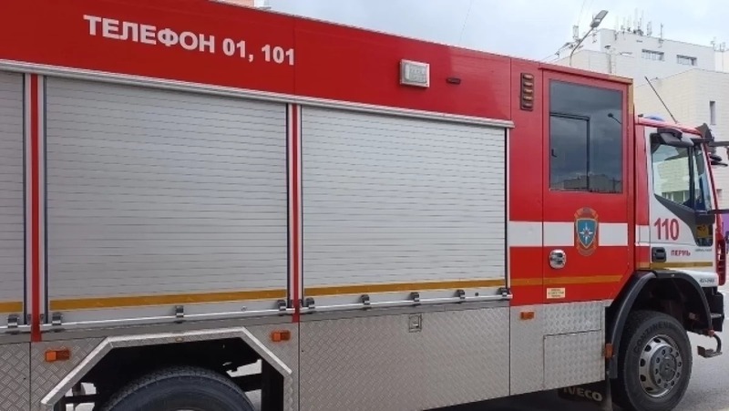 Из горящего приюта в Перми спасли около 20 собак