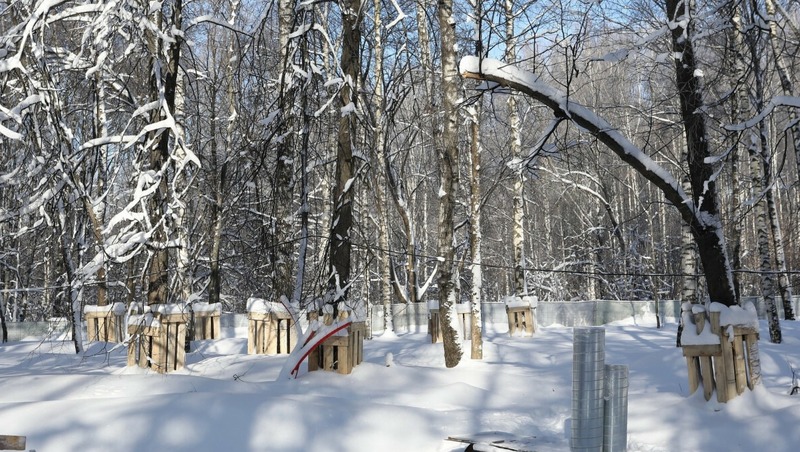 Международный экологический телефестиваль состоится в сентябре в Нижнем Новгороде