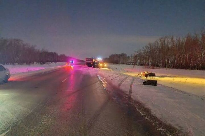 В аварии под Омском погибли два человека и лошади