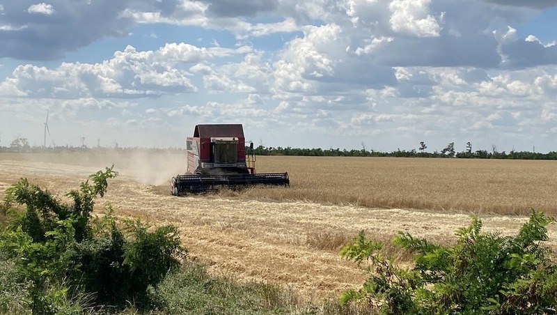 10 агротехнологических классов откроют в Пермском крае в 2026 году